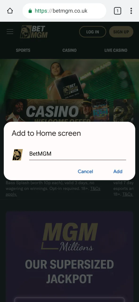 Tap Add to place the BetMGM icon on your home screen.
